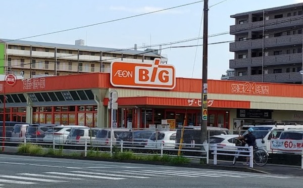 ヴェルジュ博多レジデンシャルスイート　ザ・ビッグ南福岡店（スーパー）／516m　