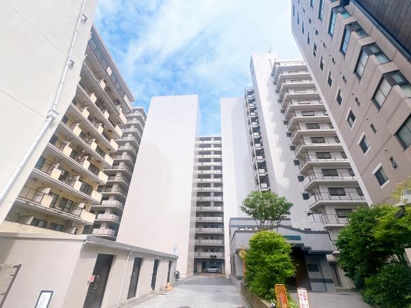 大野城市白木原１