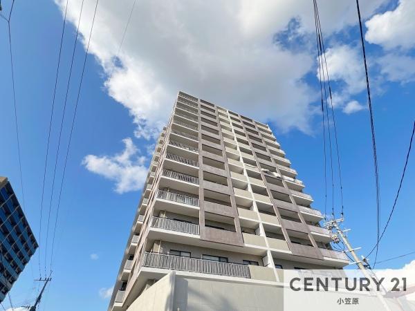 大野城市下大利１