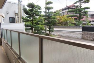 エスペランサ　現地からの眺望　
